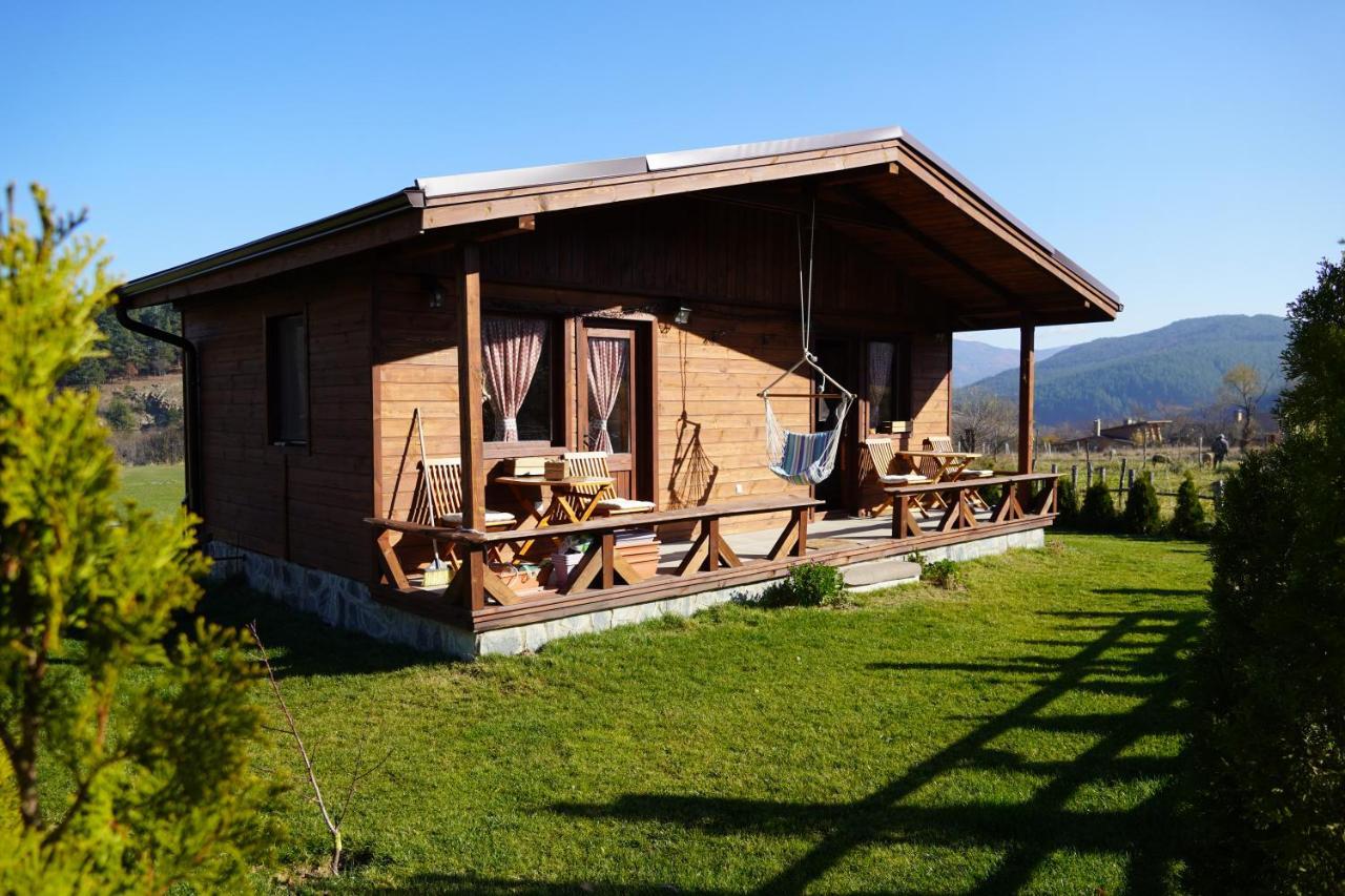 Hotel Orbel Dobrinishte Bagian luar foto