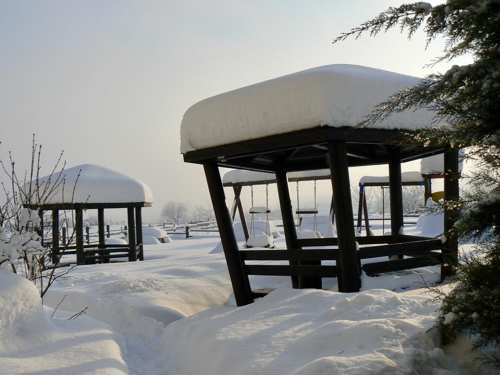 Hotel Orbel Dobrinishte Bagian luar foto