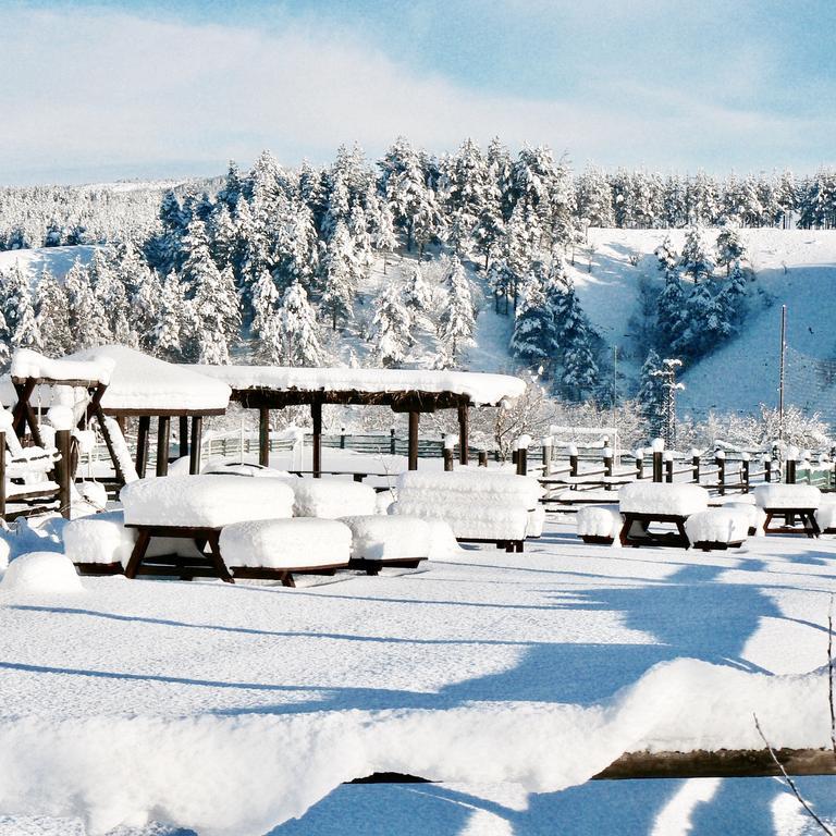 Hotel Orbel Dobrinishte Bagian luar foto